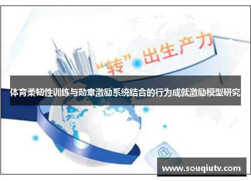 体育柔韧性训练与勋章激励系统结合的行为成就激励模型研究