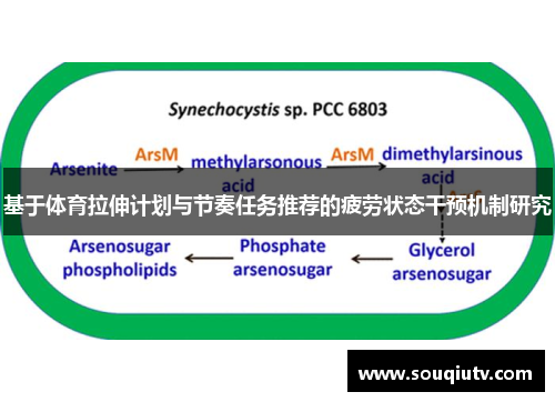 基于体育拉伸计划与节奏任务推荐的疲劳状态干预机制研究